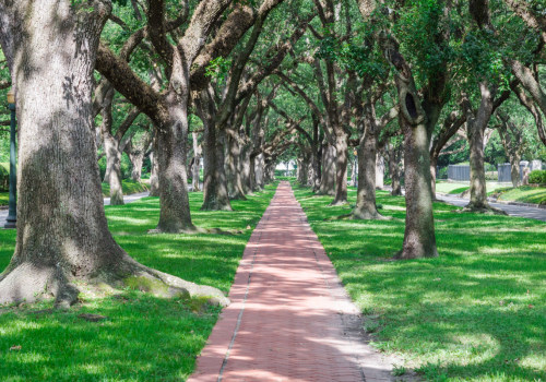 Exploring the Museum District in Harris County, Texas